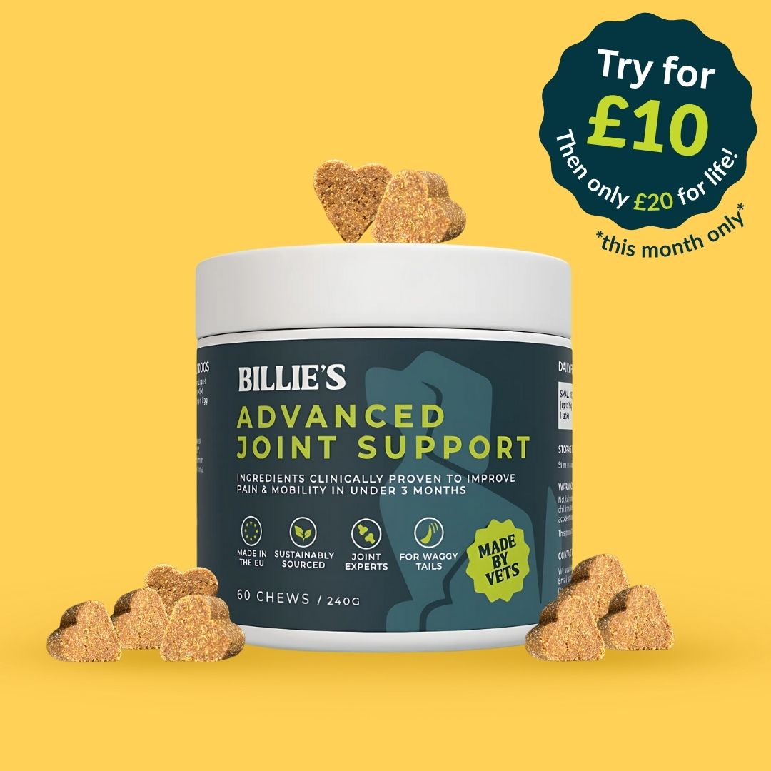 Advanced Joint MAX+ Strength Chews