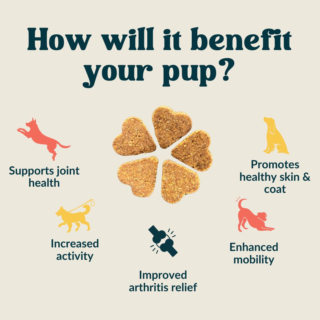 Advanced Joint MAX+ Strength Chews