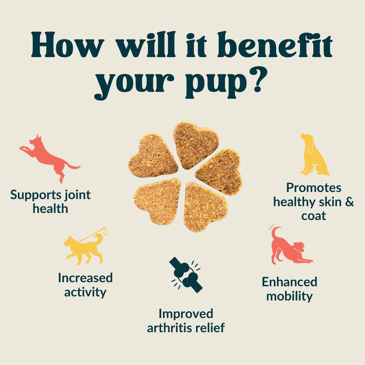 Advanced Joint MAX+ Strength Chews